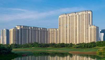 DLF