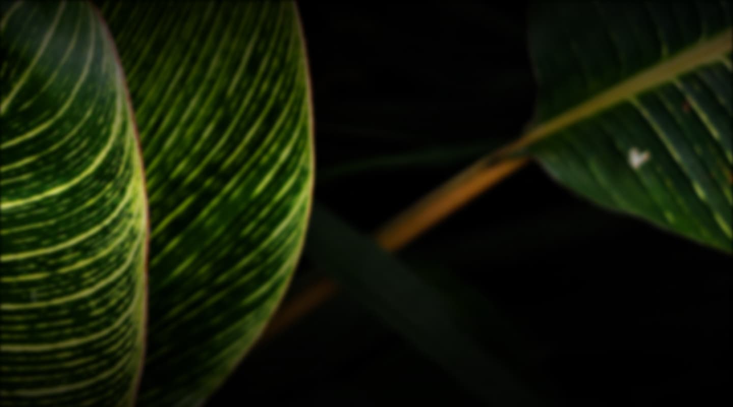 Conscient Parq Banner Image